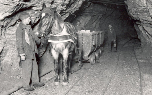Le cheval au cœur de la Révolution industrielle