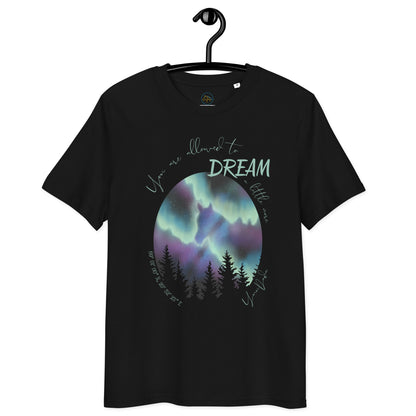 Tshirt noir cheval aurores boréales avec phrase inspirante 