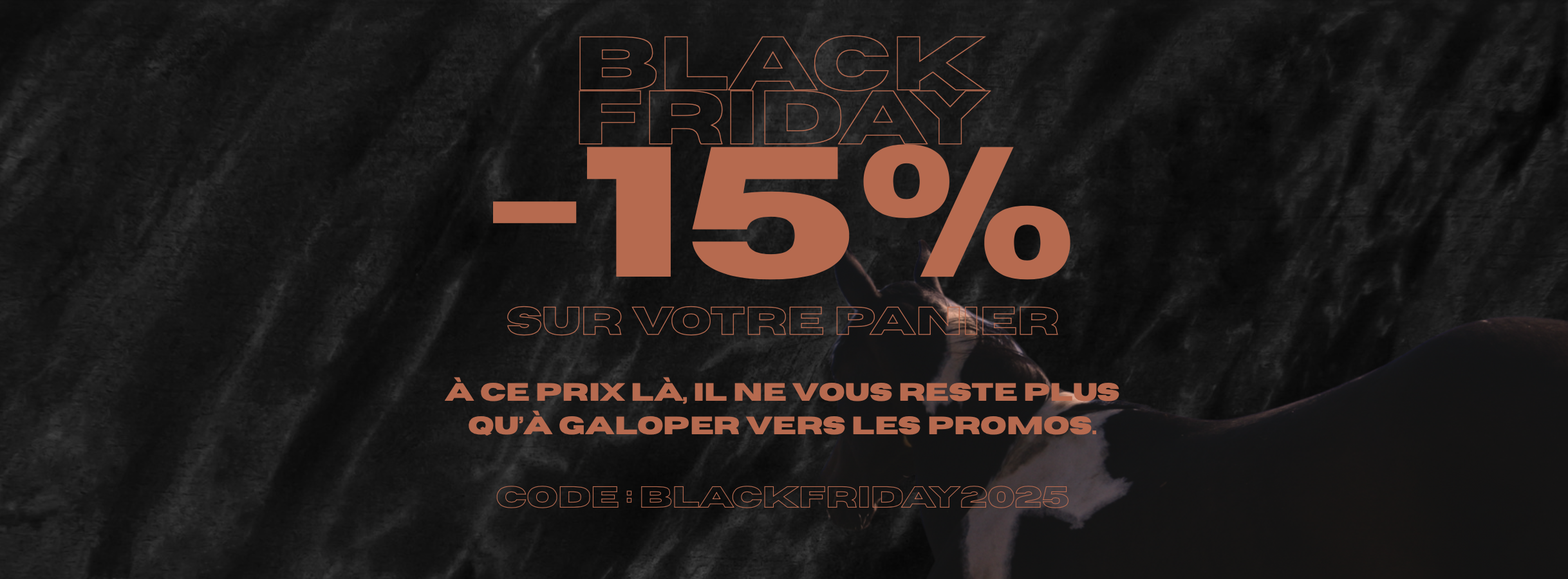 Promotion pour le Black Friday sur des tshirt et sweatshirt hoodie pour cavalières et cavaliers
