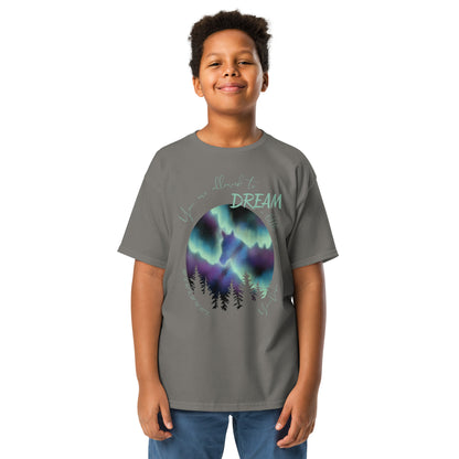 Tshirt cheval aurores boréales gris anthracite porté par un garçon