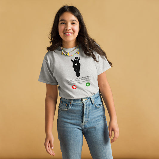 Tshirt gris chiné avec motif cheval steampunk et phrase humoristique, porté par une fille adolescente